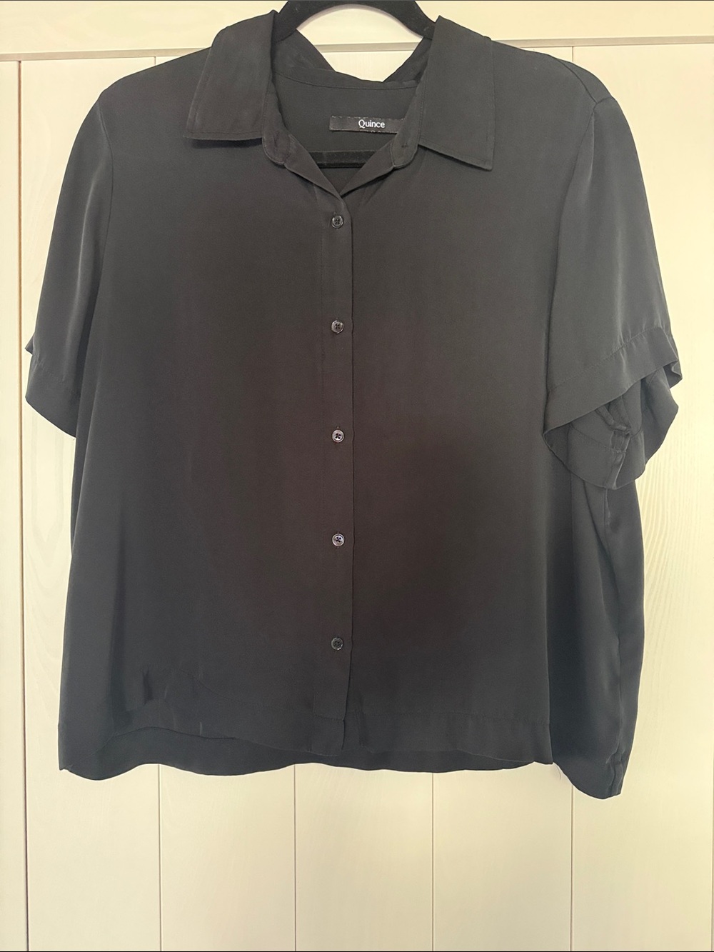 Quince Silk Short-Sleeve Button-Down Blouse